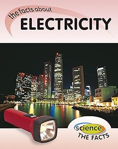 Science The Facts: Electricity
