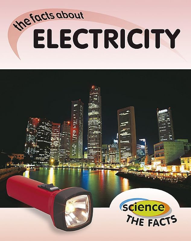 Science The Facts: Electricity by Rebecca Hunter