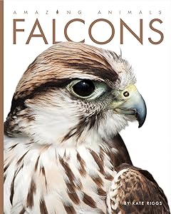 Amazing Animals: Falcons