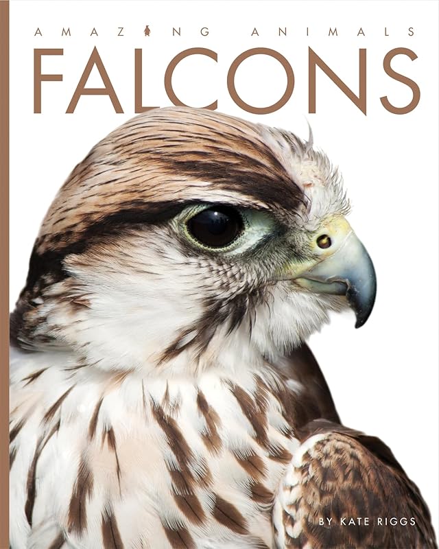 Amazing Animals: Falcons by Kate Riggs