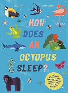 How Does An Octopus Sleep?