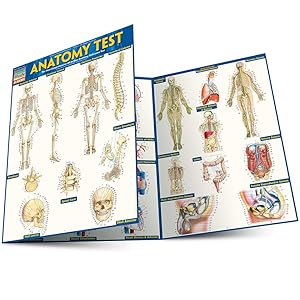 Anatomy Test
