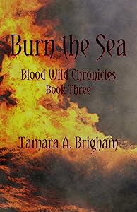 Burn the Sea by Tamara A Brigham