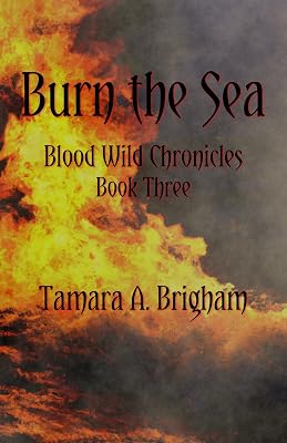 Burn the Sea