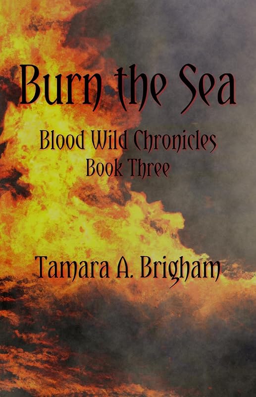 Burn the Sea by Tamara A Brigham