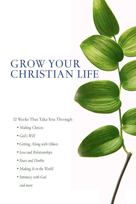 Scripture Twisting: 20 Ways the Cults Misread the Bible by James W. Sire