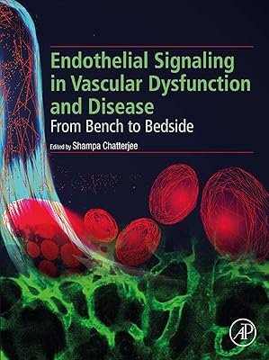 Endothelial Signaling in Vascular Dysfunction and Disease: From Bench to Bedside