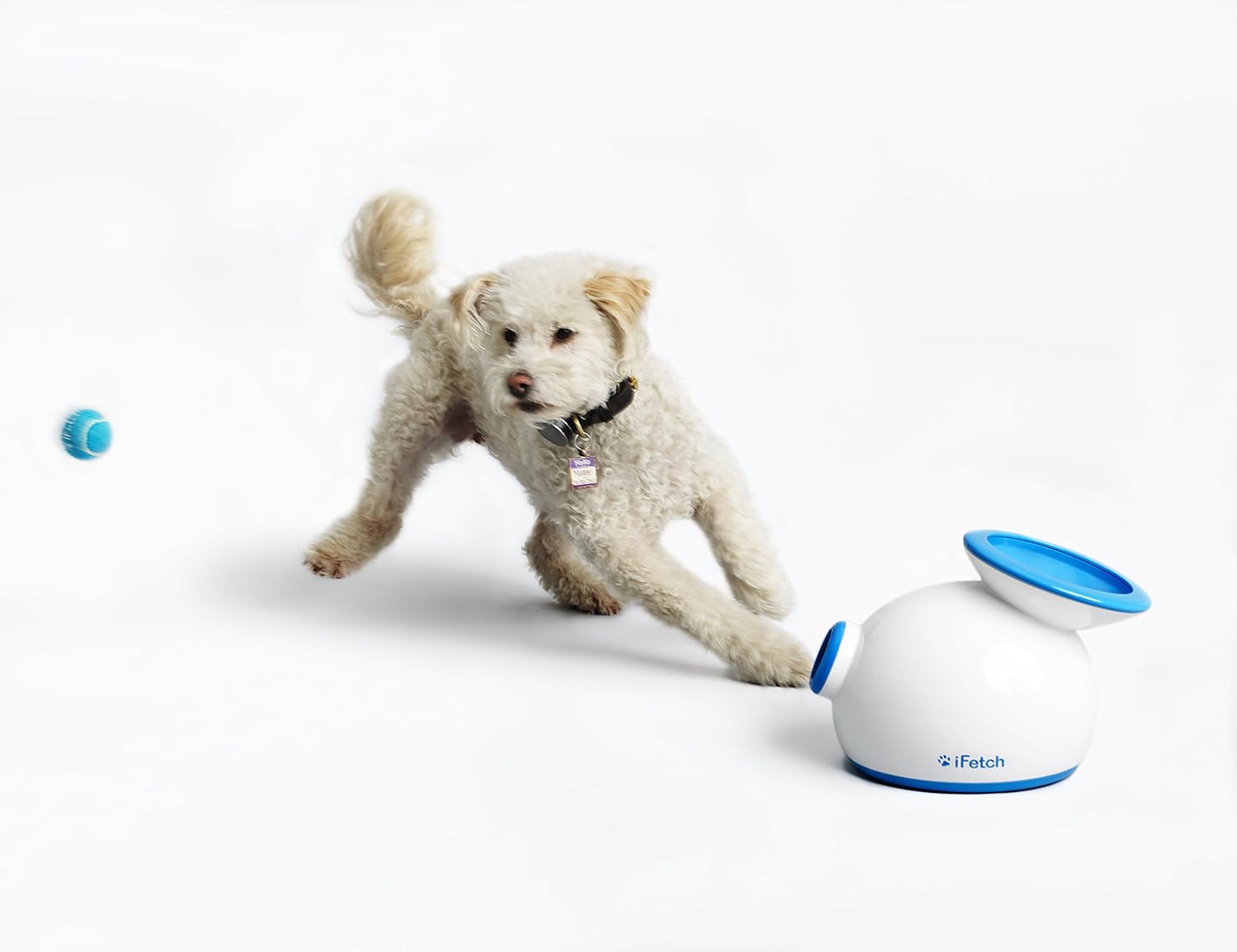 

iFetch