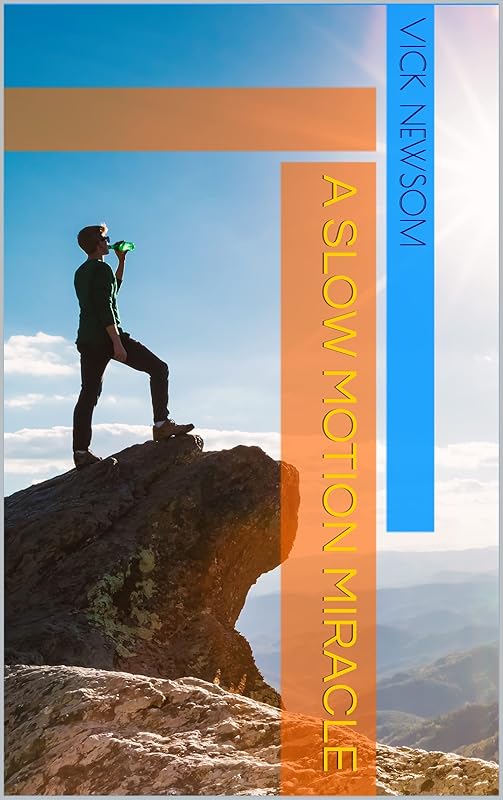 A Slow Motion Miracle by Vick Newsom