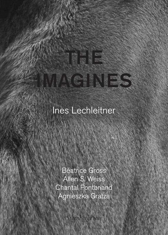 The Imagines by Ines Lechleitner