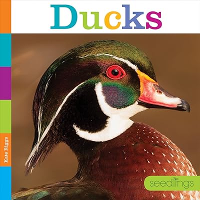 Ducks (Seedlings: Backyard Animals)