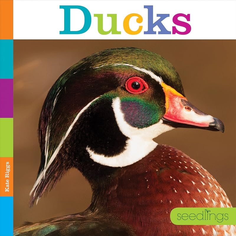 Ducks (Seedlings: Backyard Animals) by Kate Riggs
