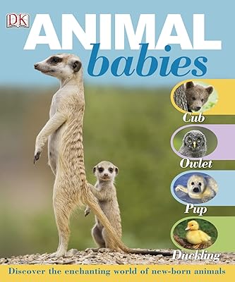 Animal Babies