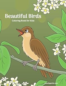 Beautiful Birds Coloring Book for Kids