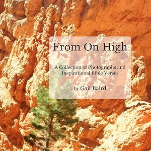 From On High by Gail Baird
