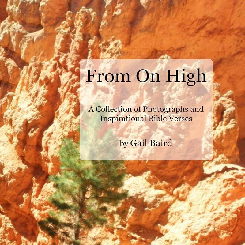 From On High by Gail Baird