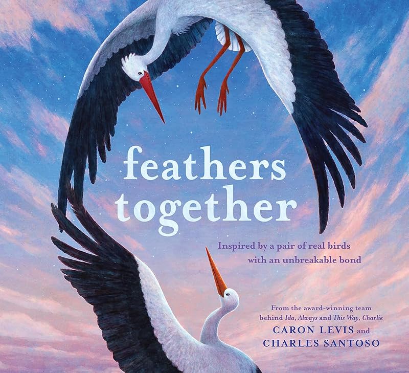 Feathers Together: A Picture Book (Feeling Friends) by Caron Levis