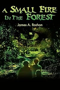 A Small Fire In The Forest by James Rozhon