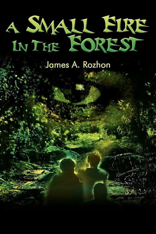 A Small Fire In The Forest by James Rozhon
