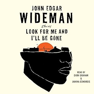 Look for Me and I'll Be Gone: Stories