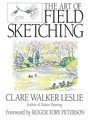 The Art of Field Sketching