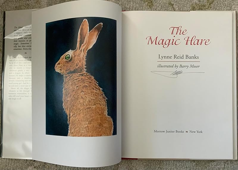 The Magic Hare by Lynne Reid Banks