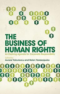 The Business of Human Rights: An Evolving Agenda for Corporate Responsibility by Aurora Voiculescu