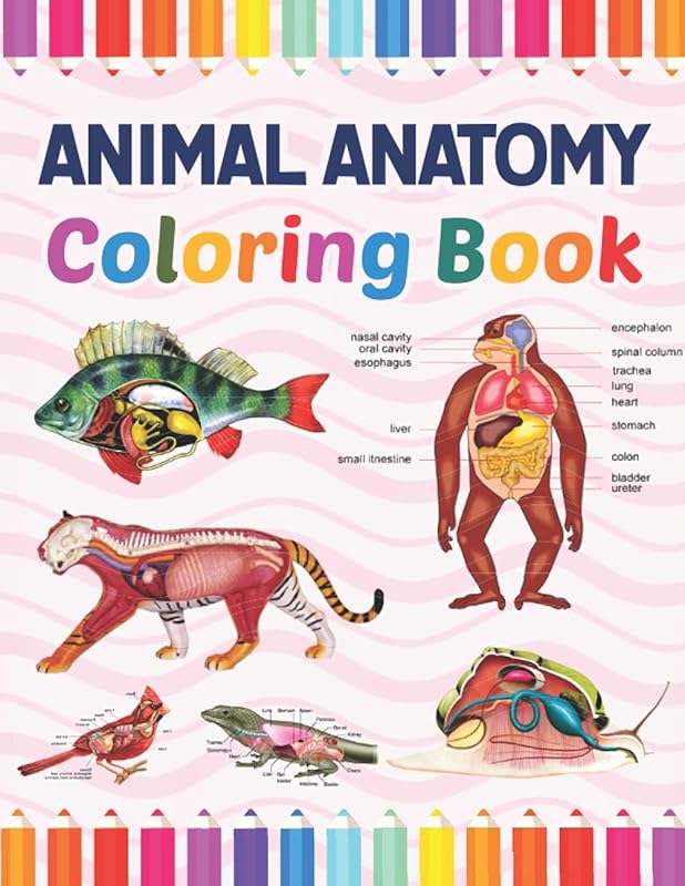 Animal Anatomy Coloring Book: The New Surprising Magnificent Learning Structure For Veterinary Anatomy Students. Introduction to Animal Anatomy and ... Cow Fish Frog & More Anatomy Coloring book. by Kashierabely Publication