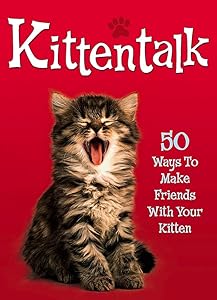 Kittentalk: 50 Ways to Make Friends With Your Kitten by Claire Bessant
