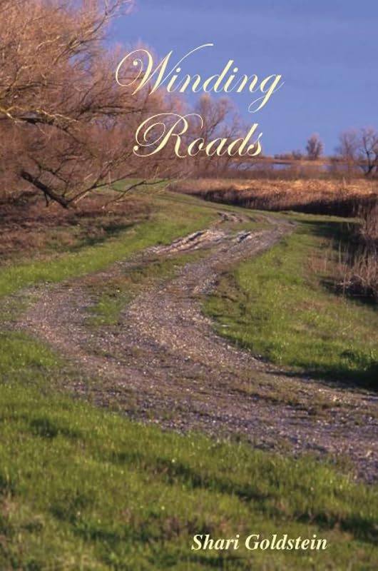 Winding Roads by Shari Goldstein
