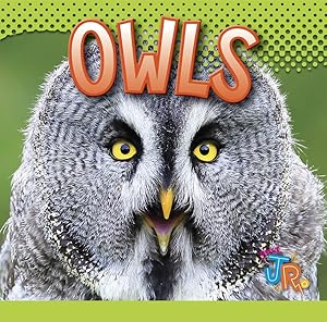 Owls (Awesome Animal Lives)