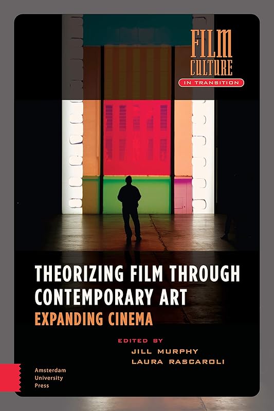 Theorizing Film Through Contemporary Art: Expanding Cinema (Film Culture in Transition) by Jill Murphy