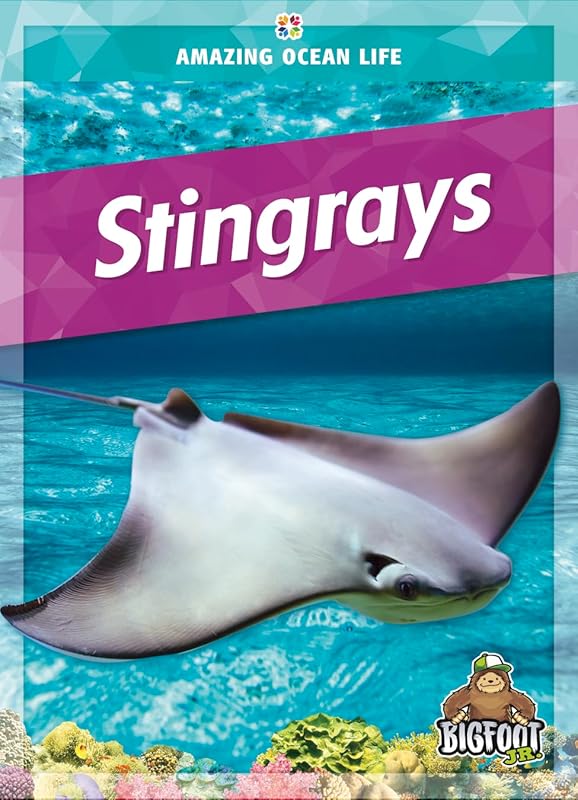 Stingrays (Amazing Ocean Life) by Colleen Sexton