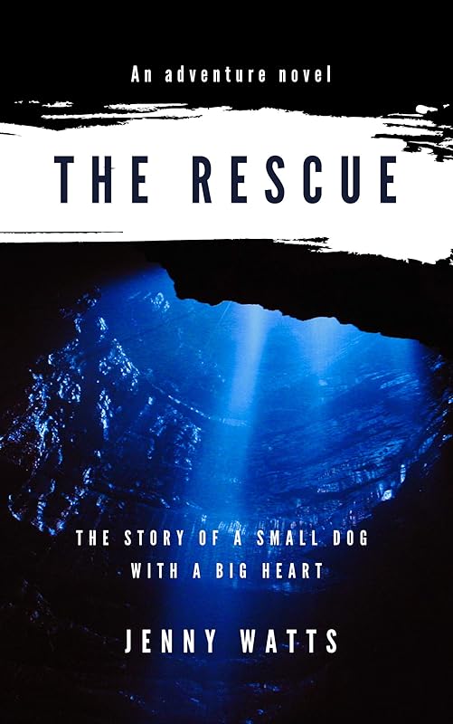 The Rescue by Jenny Watts