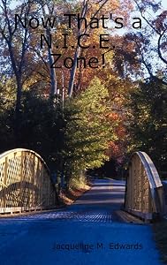 Now That's a N.I.C.E. Zone! by Jacqueline M Edwards