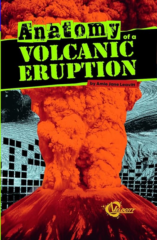 Anatomy of a Volcanic Eruption (Velocity) by Amie Jane Leavitt