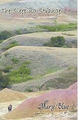 The Sleeping Stranger