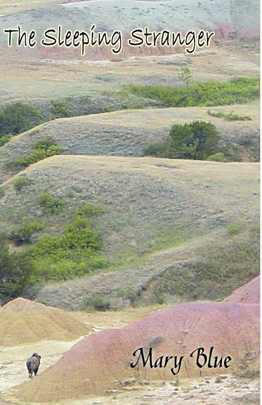 The Sleeping Stranger by Mary Blue