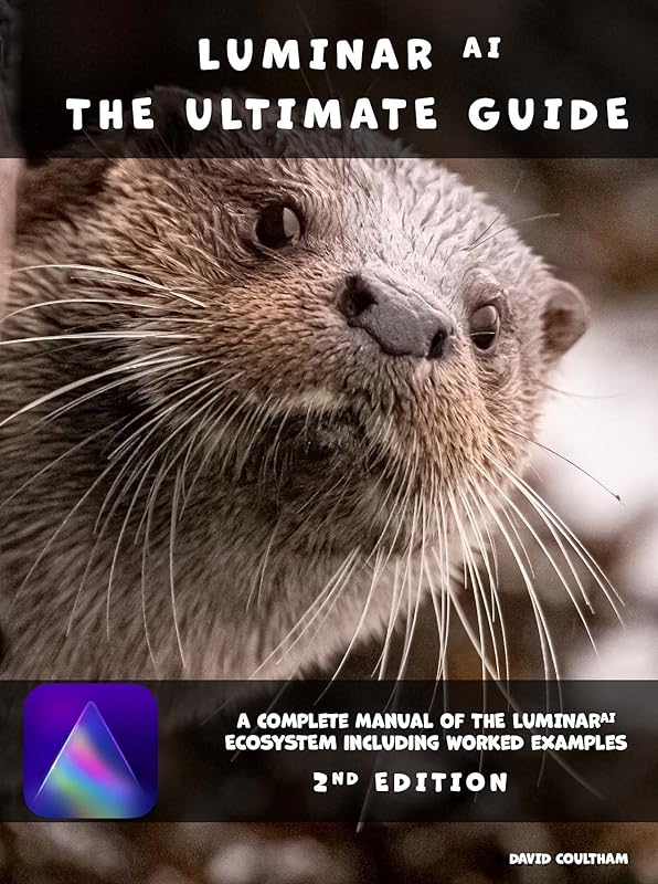 Luminar AI - The Ultimate Guide by David Coultham