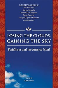 Losing the Clouds, Gaining the Sky: Buddhism and the Natural Mind by Doris Wolter