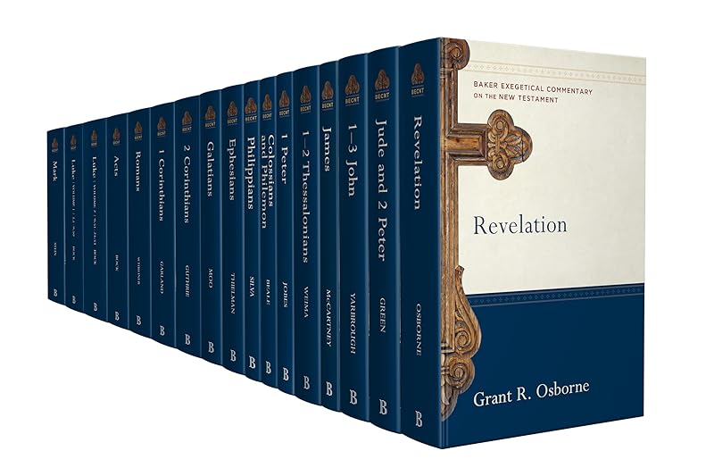 Baker Exegetical Commentary on the New Testament by Robert W. Yarbrough
