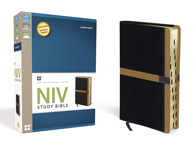 NIV Study Bible, Large Print, Leathersoft, Black/Tan, Red Letter, Thumb Indexed by Zondervan