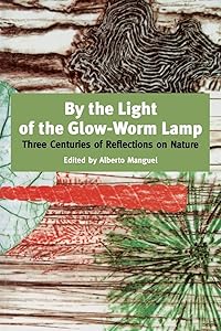 By The Light Of The Glow-worm Lamp by Alberto Manguel