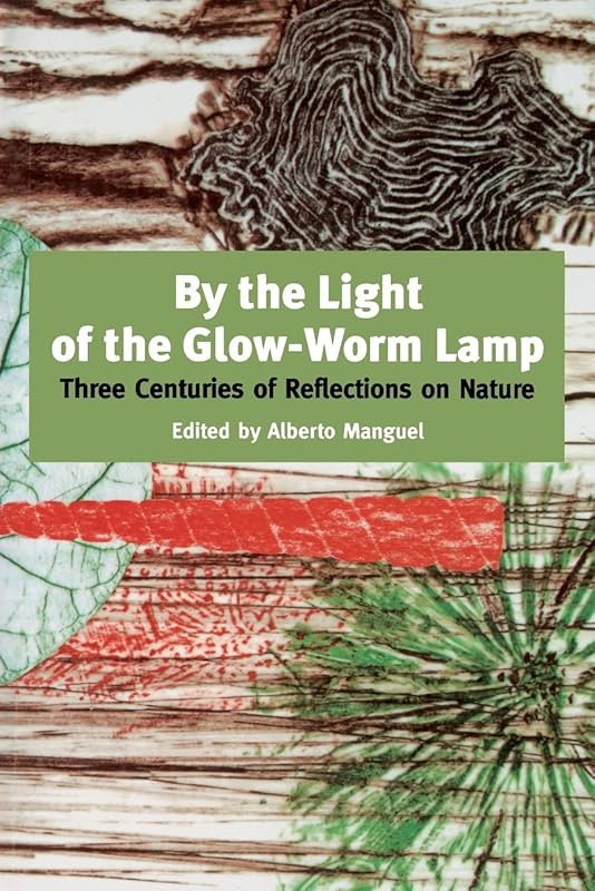 By The Light Of The Glow-worm Lamp by Alberto Manguel