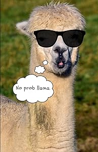 No Prob Llama: Dot Grid Sketch Book by Llama Book
