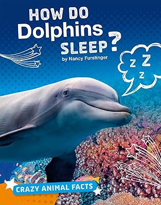How Do Dolphins Sleep? (Crazy Animal Facts)