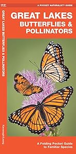 Great Lakes Butterflies & Pollinators: A Folding Pocket Guide to Familiar Species