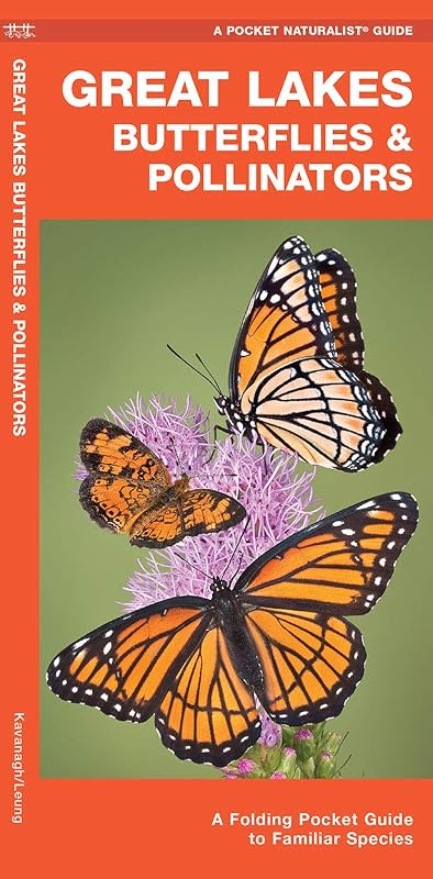Great Lakes Butterflies & Pollinators: A Folding Pocket Guide to Familiar Species by James Kavanagh Waterford Press