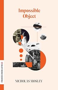 Impossible Object (Dalkey Archive Essentials)
