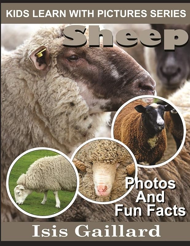 Sheep: Photos and Fun Facts for Kids (Kids Learn With Pictures) by Isis Gaillard